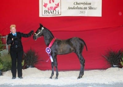 Alejo2013