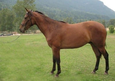 VMF-Tivios-Sr-Jackson-2-yrs