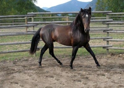 VMF-Valiente