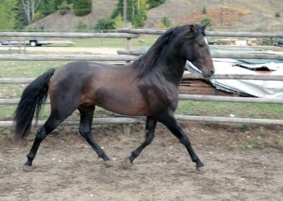 VMF-Valiente