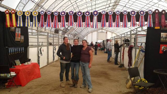 display 2015 show results